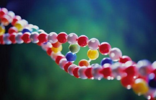 Google запустил проект по изучению генетики человека